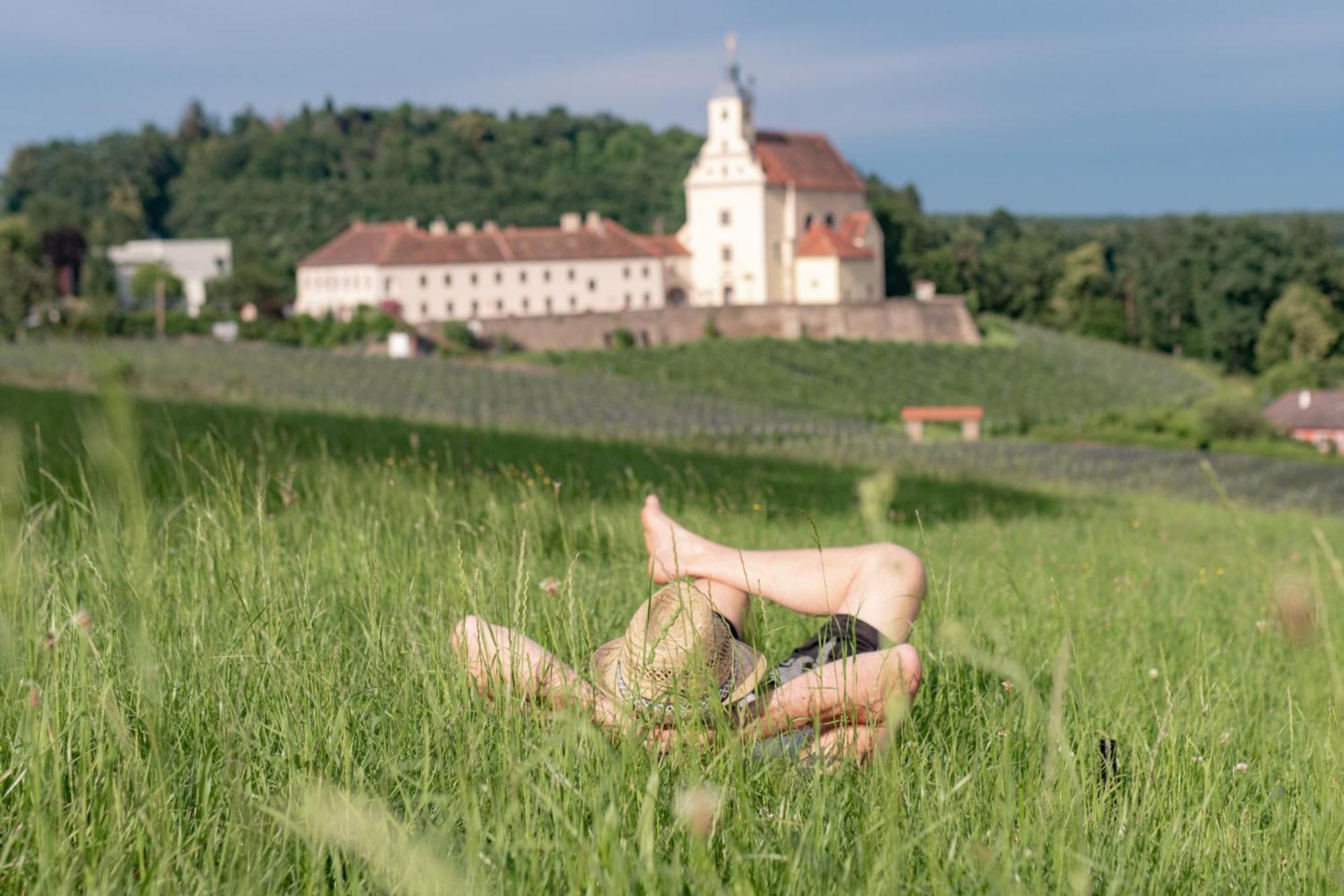 Landgut Riegerbauer Otel Sankt Johann bei Herberstein Dış mekan fotoğraf